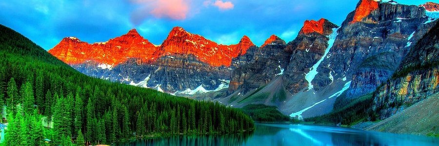 Sam Garcia $FAME banner