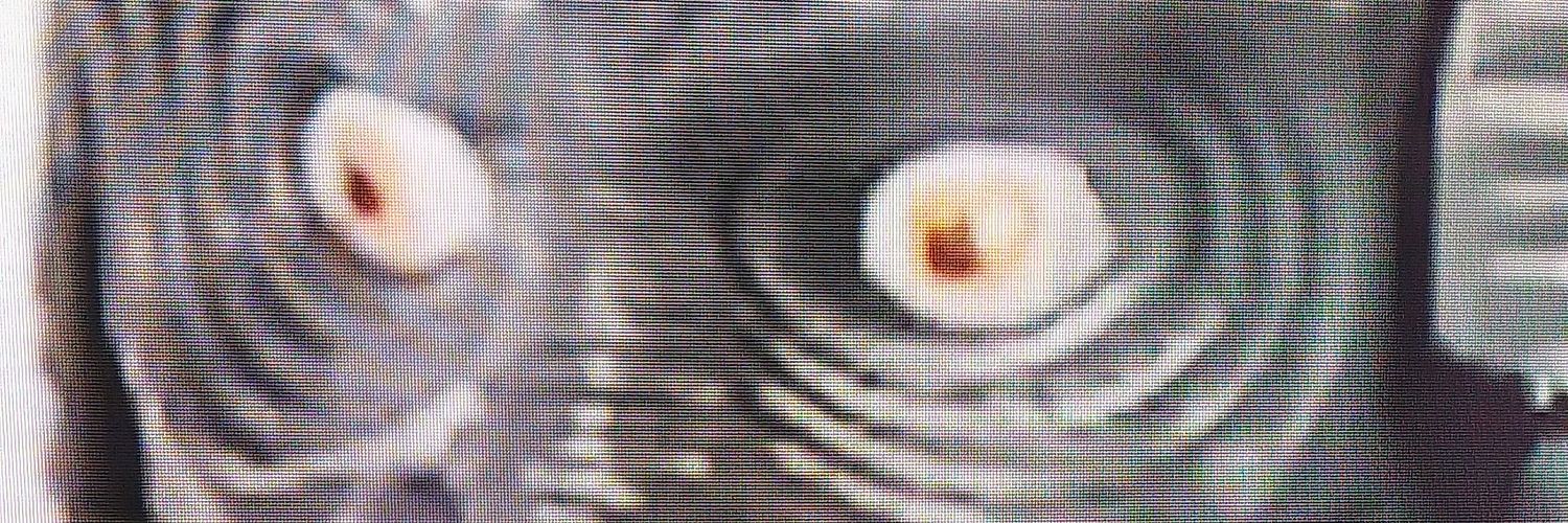 Devdan Elnathan banner