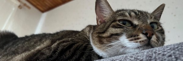 yamuktekiroglu Profile Banner