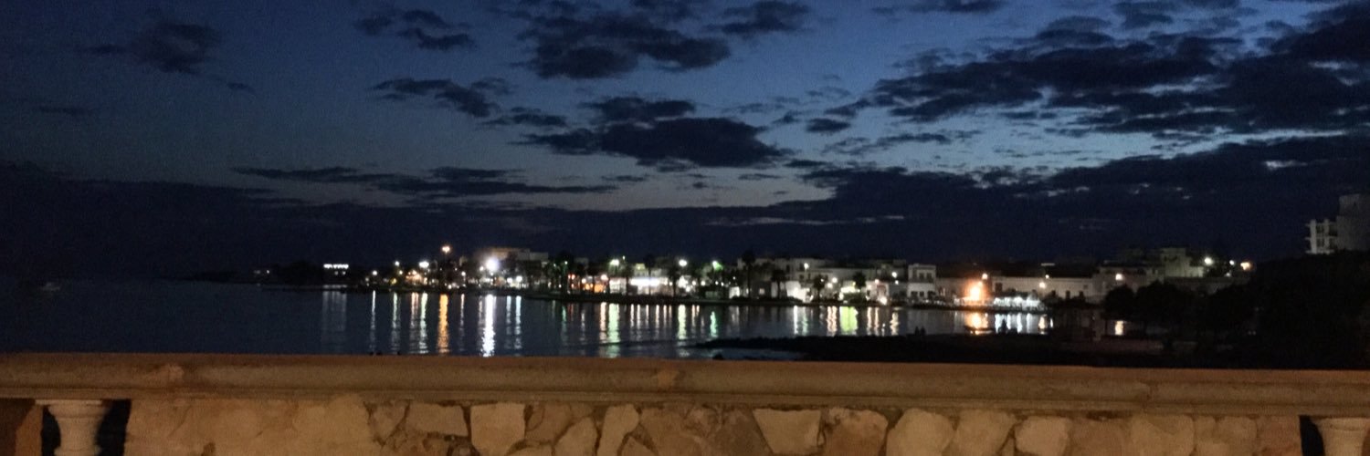 Claudio Cinquepalmi banner