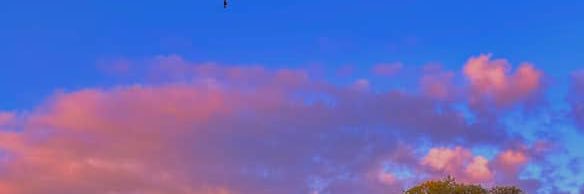blacksoncfm's profile banner image