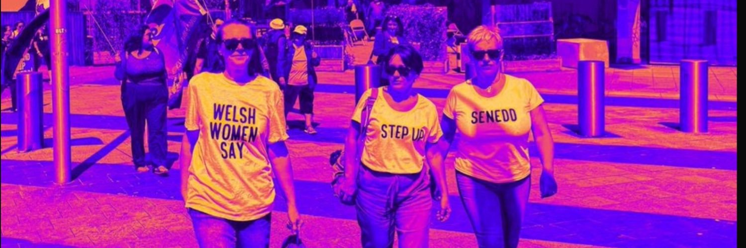 Aunty Em 🏴󠁧󠁢󠁷󠁬󠁳󠁿💚🤍💜 banner