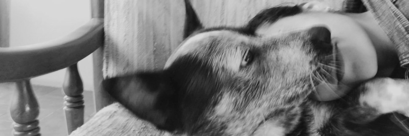 maggsolis's profile banner image