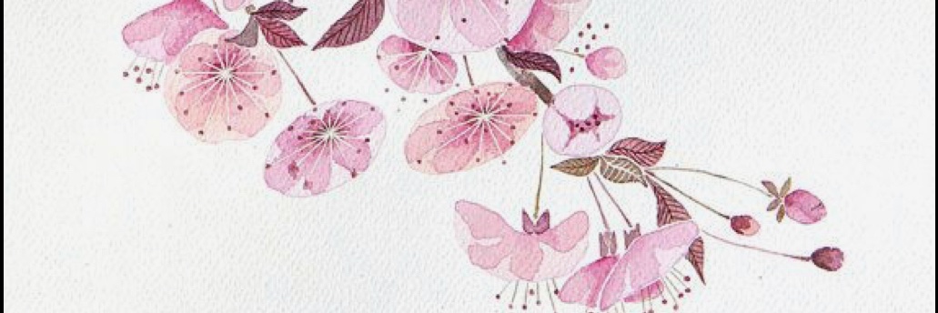 surgery128's profile banner image