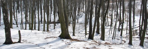 HolocaustPod Profile Banner