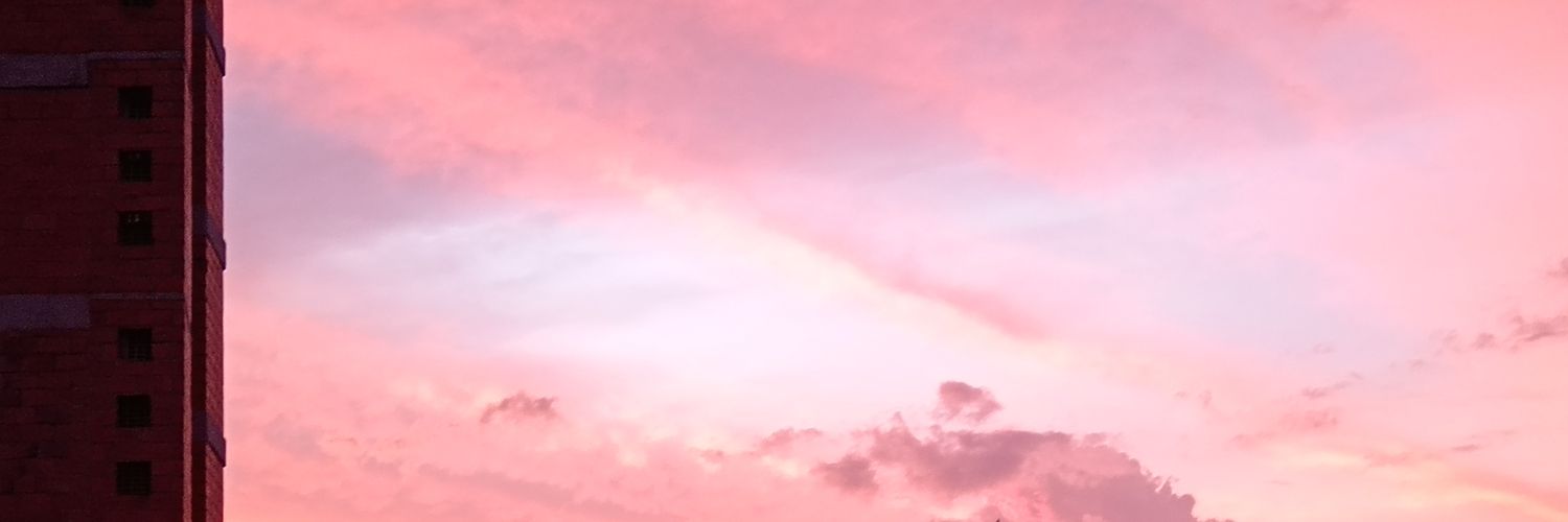 LINA1039's profile banner image