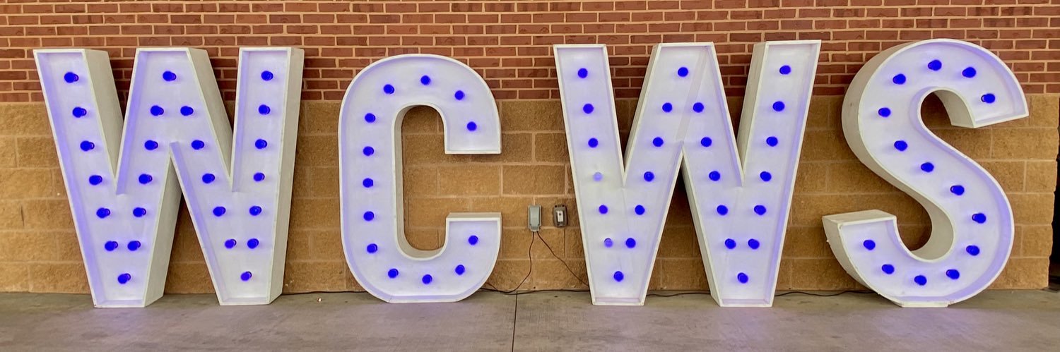 Marisa Dowling banner