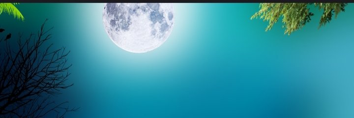 Md gagi banner
