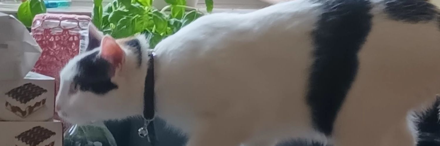 Demolitionmam67's profile banner image