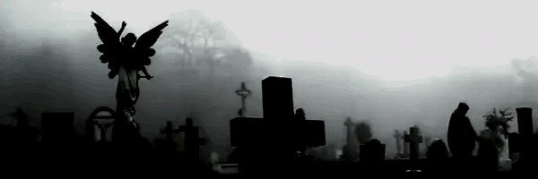 angelexos's profile banner image