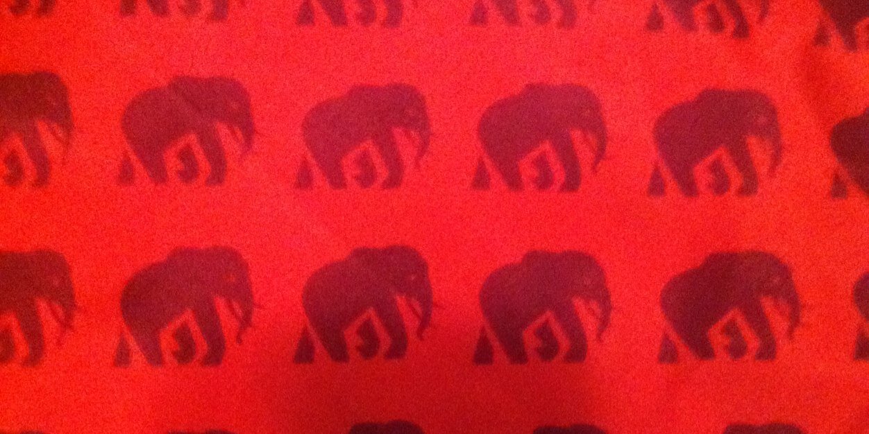 Abby Clark banner