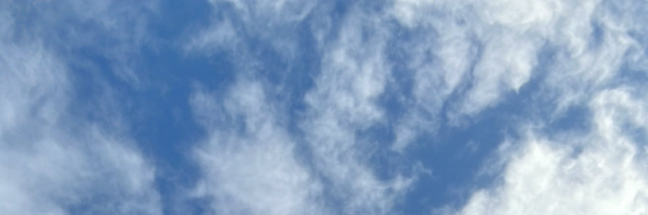 Paeon banner