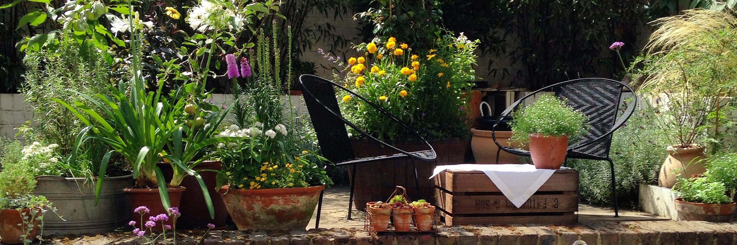 Theo Izzard-Brown banner