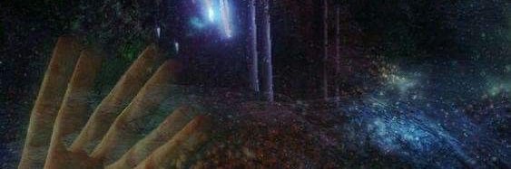 ltupursue's profile banner image