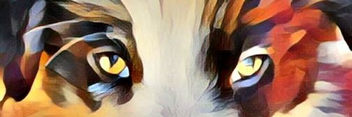 misharu2's profile banner image