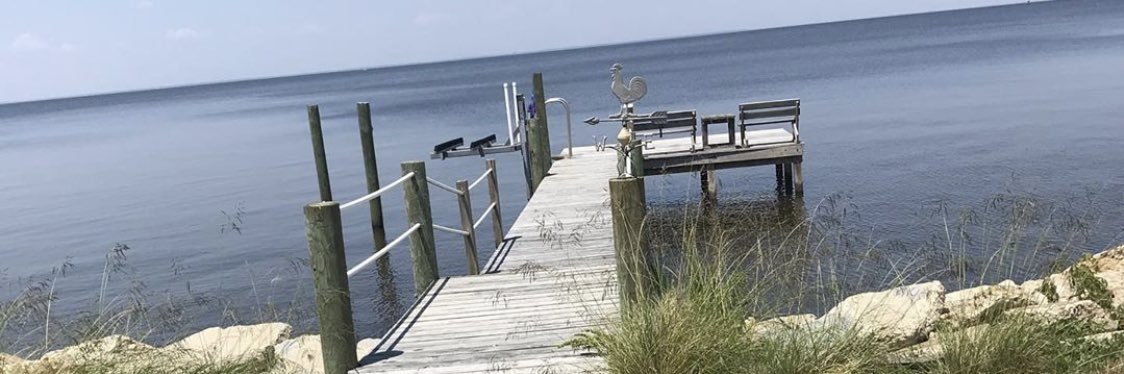 AmyBarkera2's profile banner image