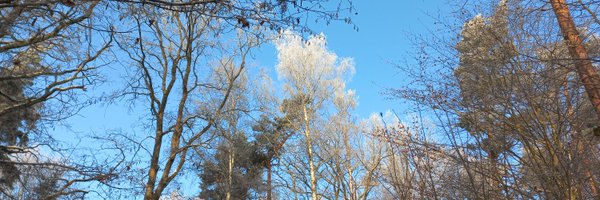 Anagitka Profile Banner