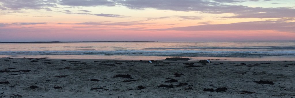 nickolemt's profile banner image