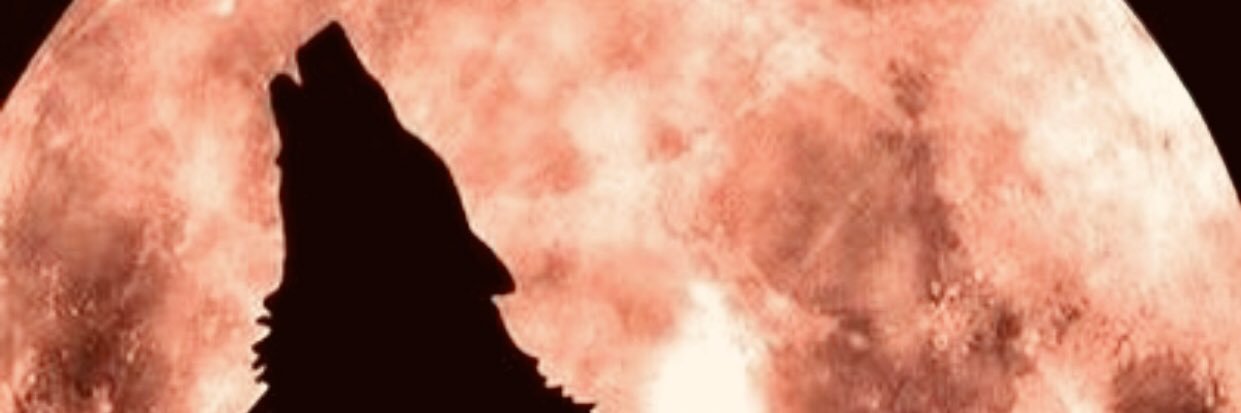 donromcom's profile banner image