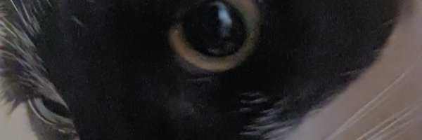Dwight1326 Profile Banner