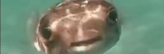 Dwight1326's profile banner image