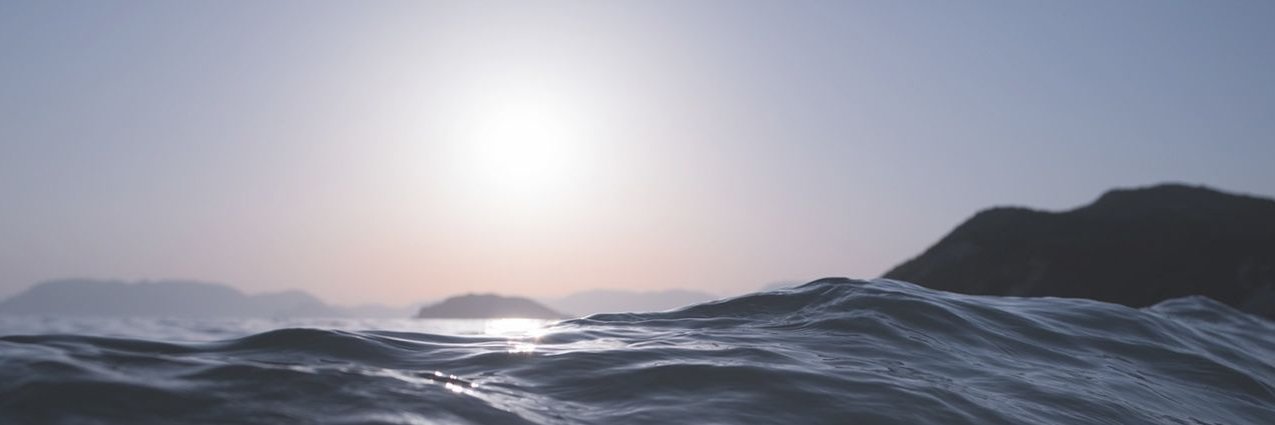 Melanie Marich banner