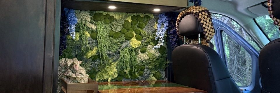 Peter Pantazis banner