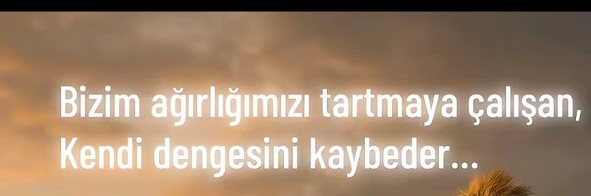 ergunsevda199's profile banner image
