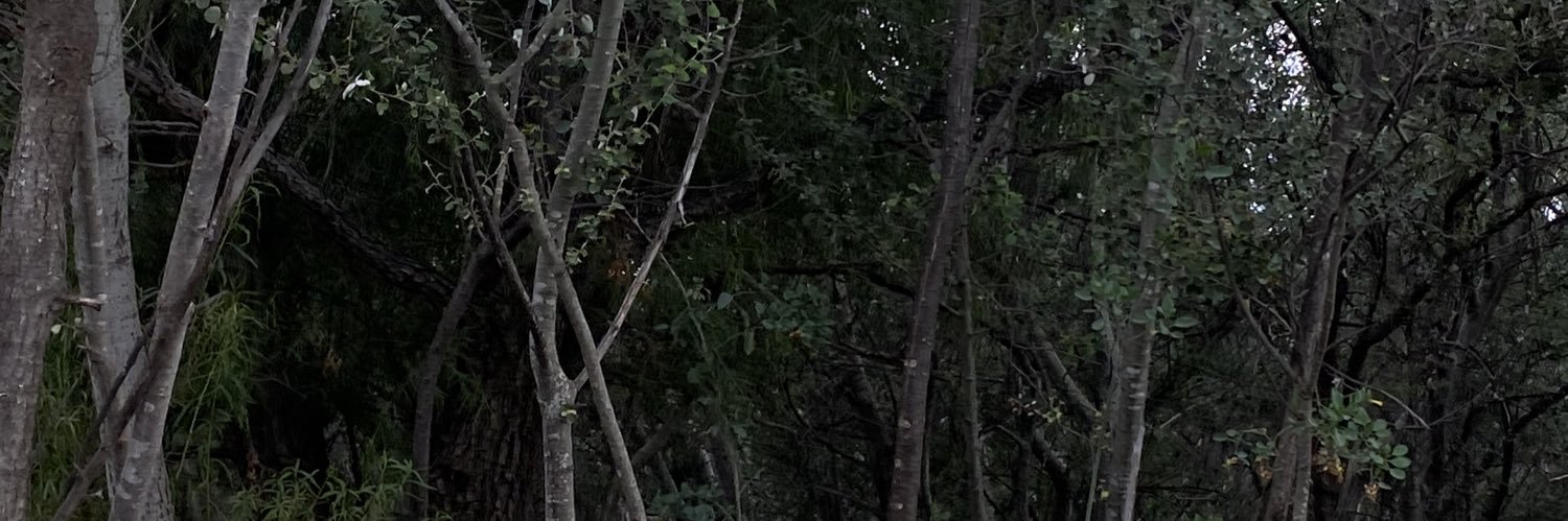 ernestortizz's profile banner image