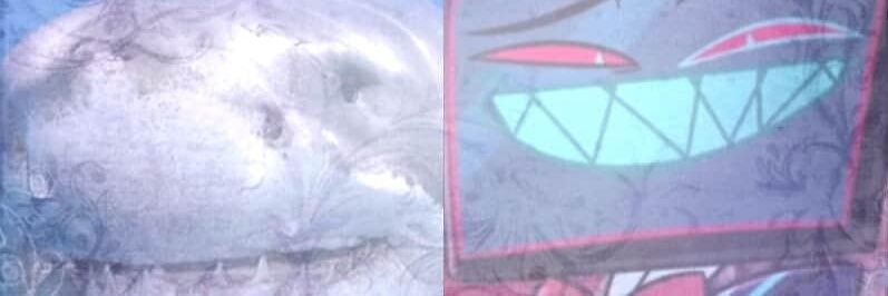 TELO! banner