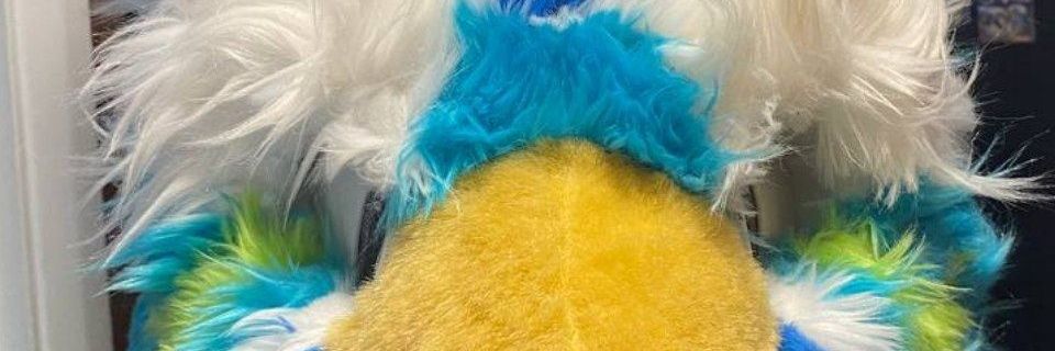zeth bird(ad) banner