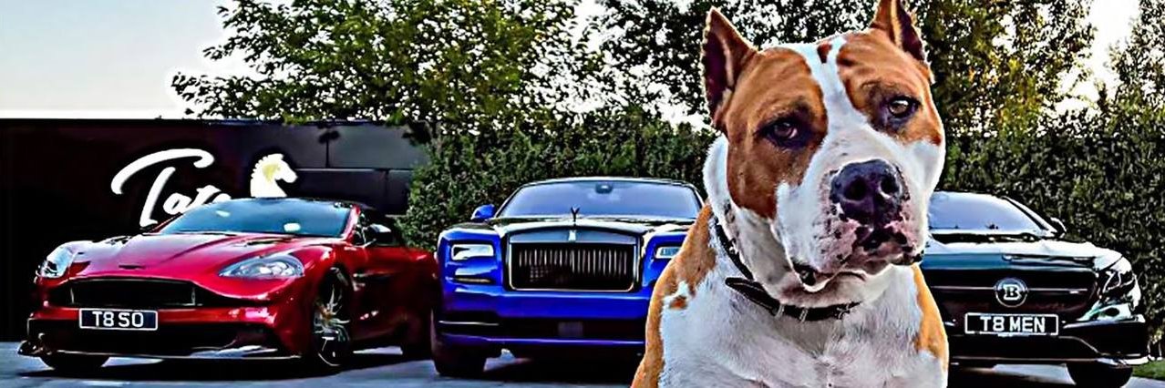 AndrewTate’sDogG banner