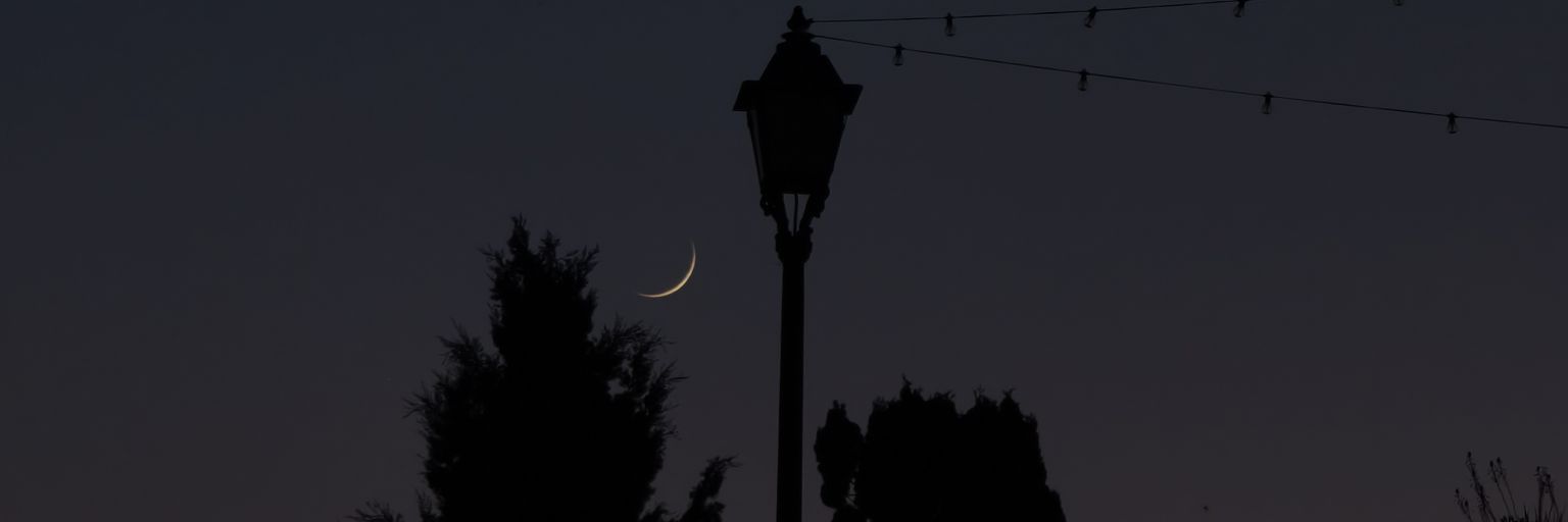 Mimi_Rose__'s profile banner image