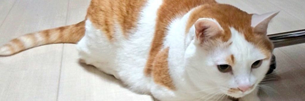 BBanr's profile banner image
