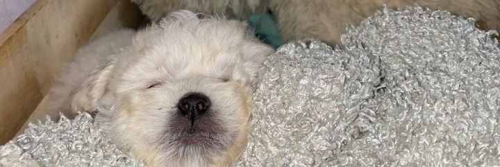 Caroojedaaa0's profile banner image