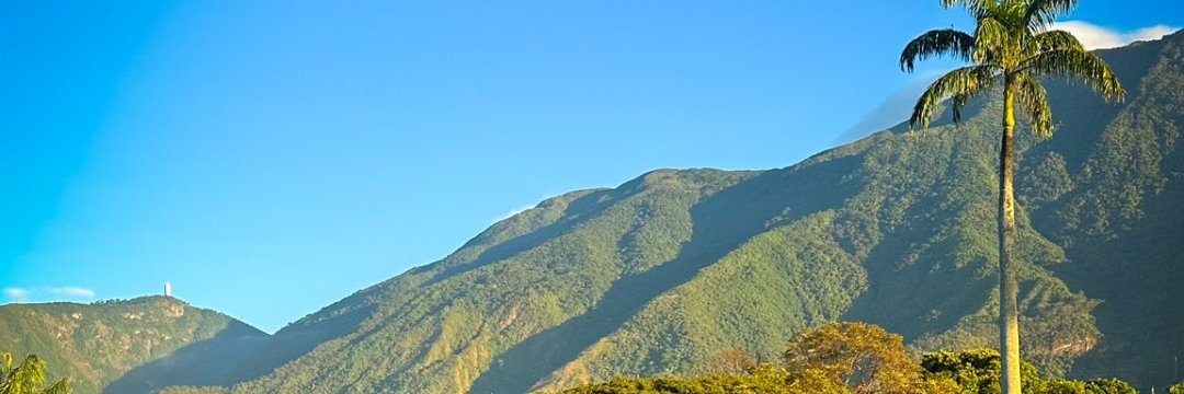 Lanieblamental's profile banner image