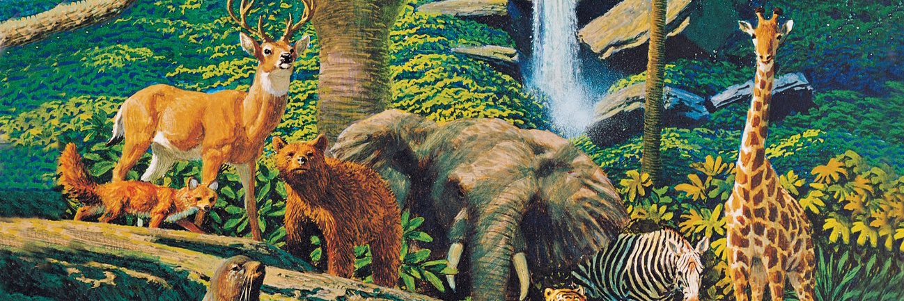 Sol_Invictus🪔 banner