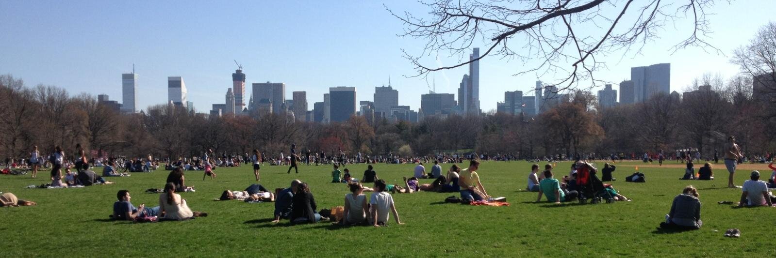 Caitlin Huston banner