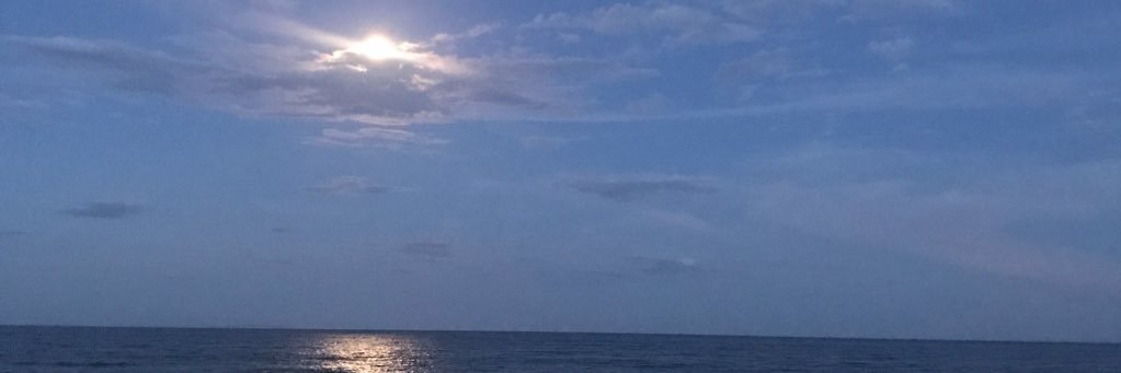 jaguarr04's profile banner image