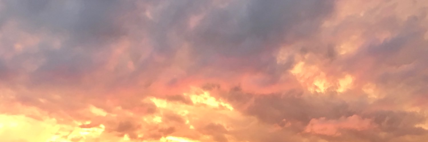 Wesley Willians banner