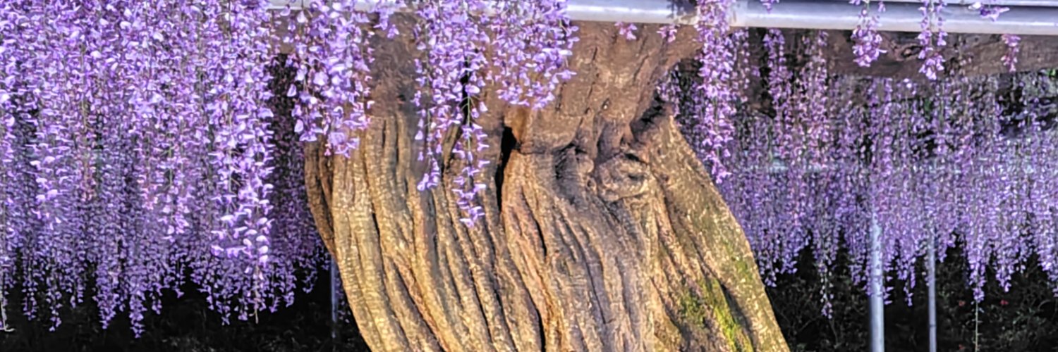 koumorimaru's profile banner image