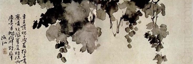dncingfairyy's profile banner image