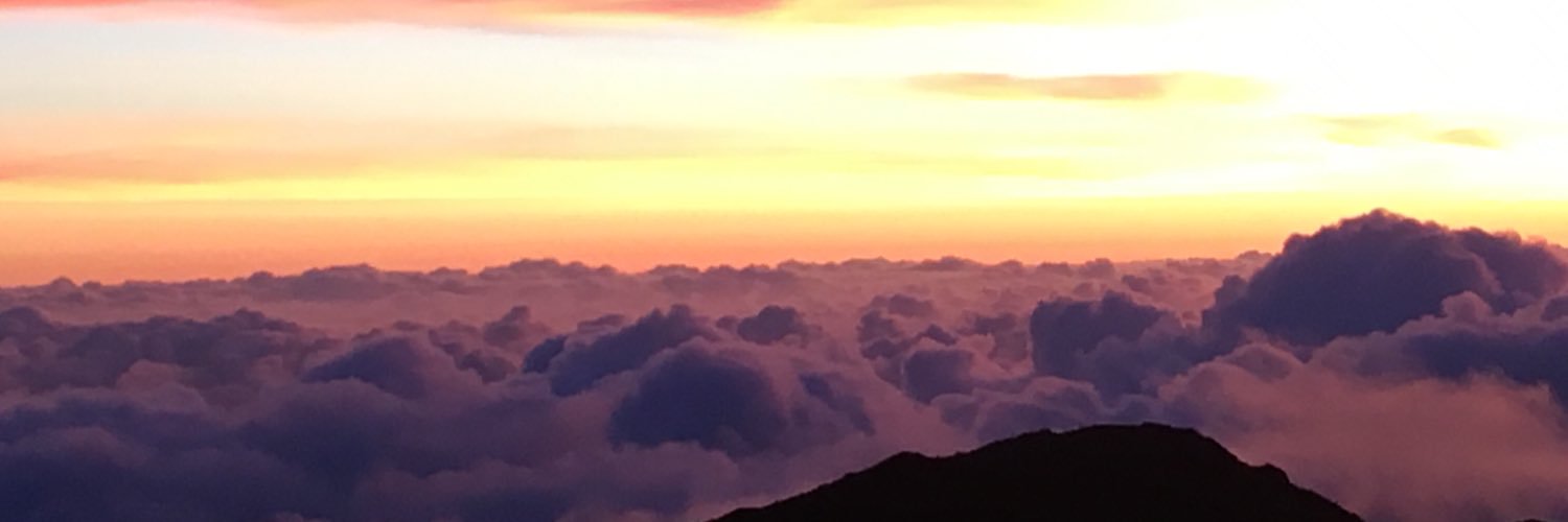 dlenalowe's profile banner image