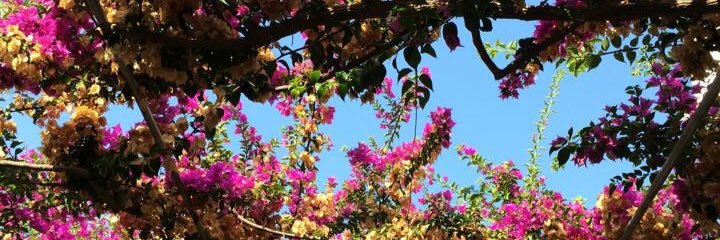 LittleLeworthy's profile banner image