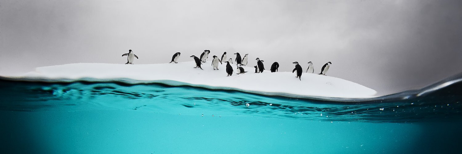 National Geographic banner