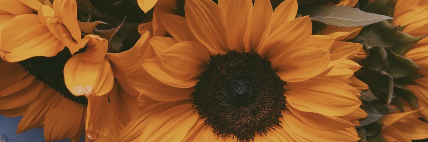 seminklc's profile banner image