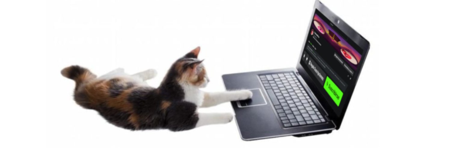 TheHandWins 🐸💜 banner