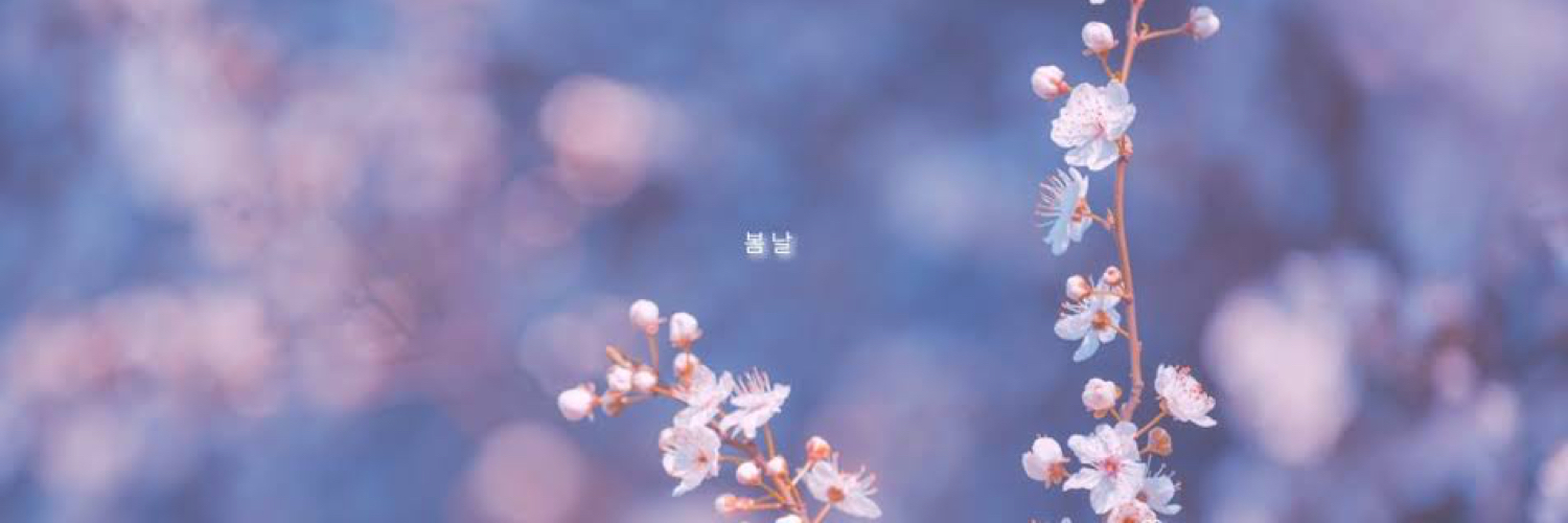 HakataResident's profile banner image