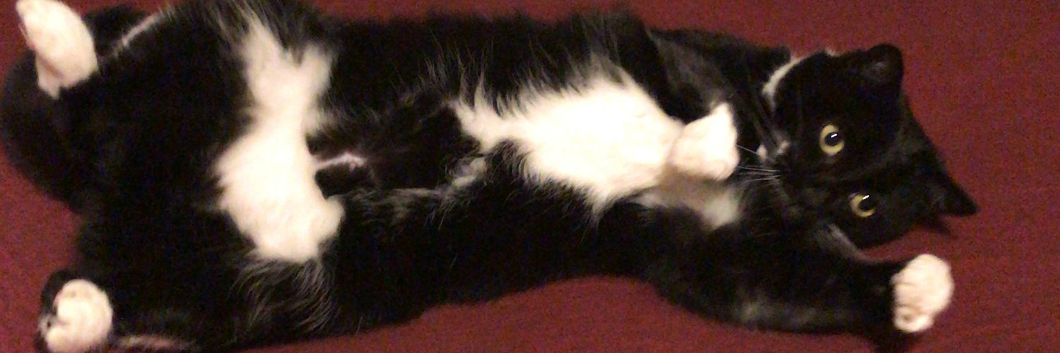 Christopher Marsland banner