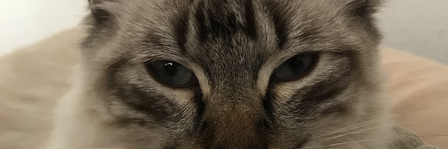 alebarra's profile banner image